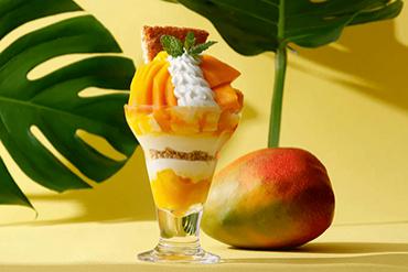 Miyazaki Mango: Trứng của mặt trời đắt đỏ nhất thế giới