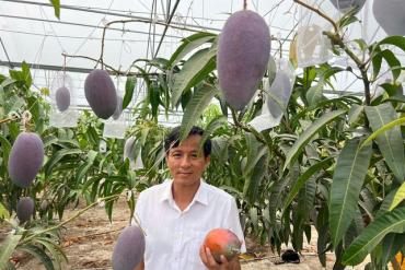 Thu hoạch, tuyển chọn và đóng hộp