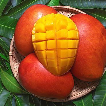 Giá trị dinh dưỡng của xoài Miyazaki