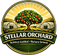 Stellar Orchard