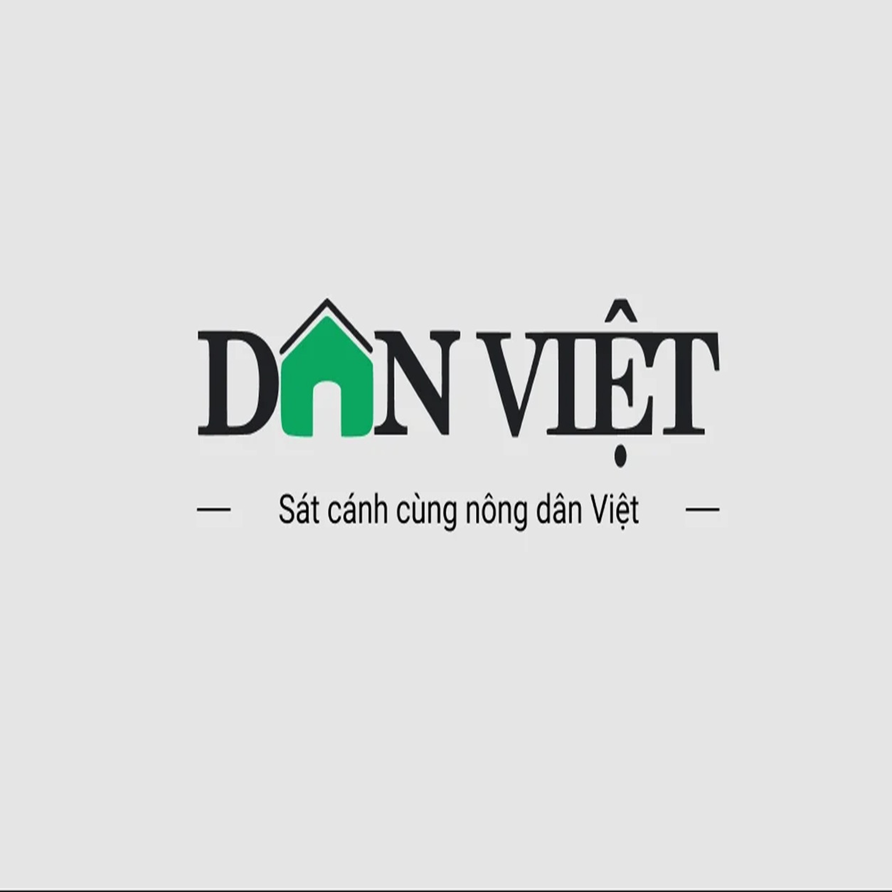 Báo Dân Việt